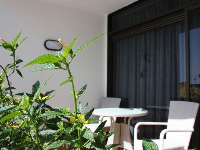 Mozart Hotel Puerto Rico  Bagian luar foto